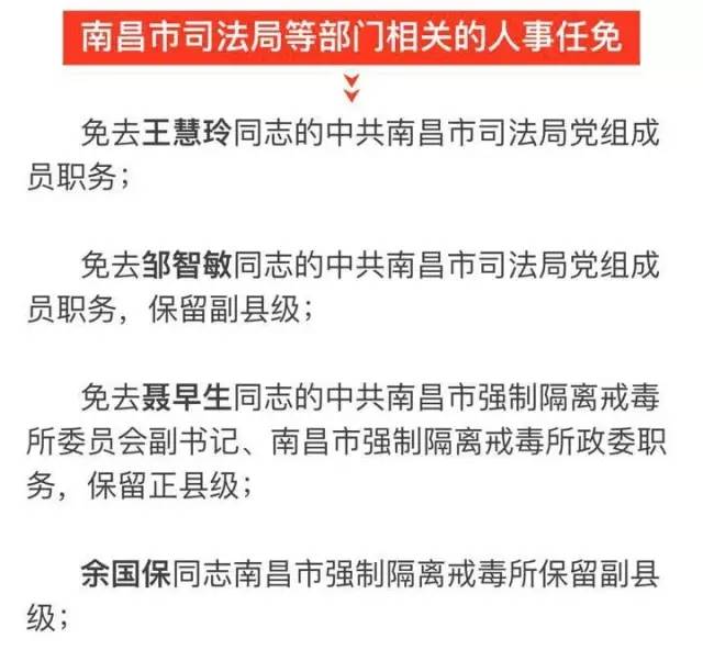 阳江市科学技术局人事任命，引领科技创新与发展的核心力量