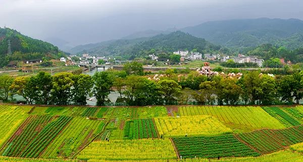 南埕镇新项目引领地方经济塑造未来蓝图