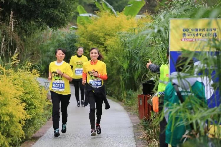 万盛区农业农村局最新发展规划概览