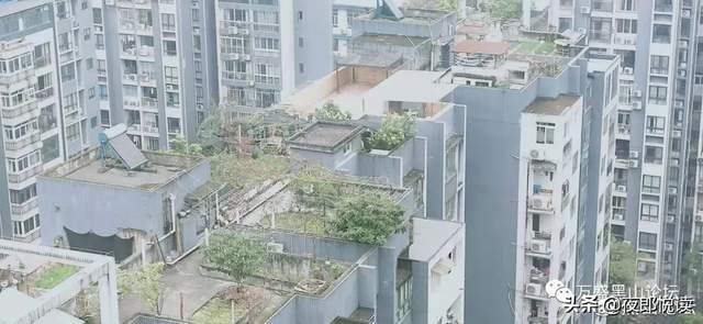 万盛区住房和城乡建设局最新发展规划概览