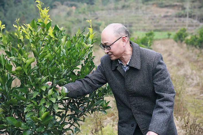 恩施土家族苗族自治州园林管理局新任领导团队引领城市绿化革新篇章