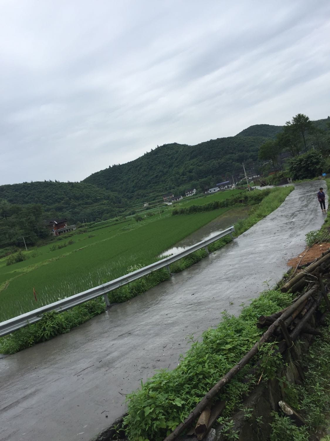 宋家河坝村委会天气预报及影响深度解析