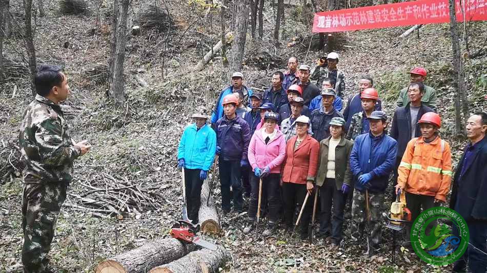 祥溪林场交通新动态，通达之路，绿色之旅