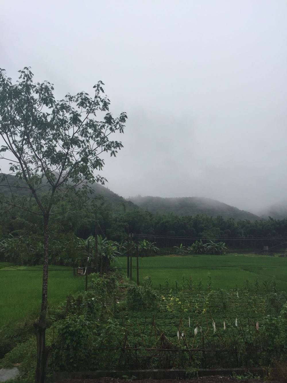 景阳镇天气预报更新通知