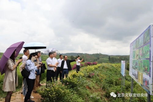 宜良县文化广电体育和旅游局新项目助力地方文化体育事业蓬勃发展