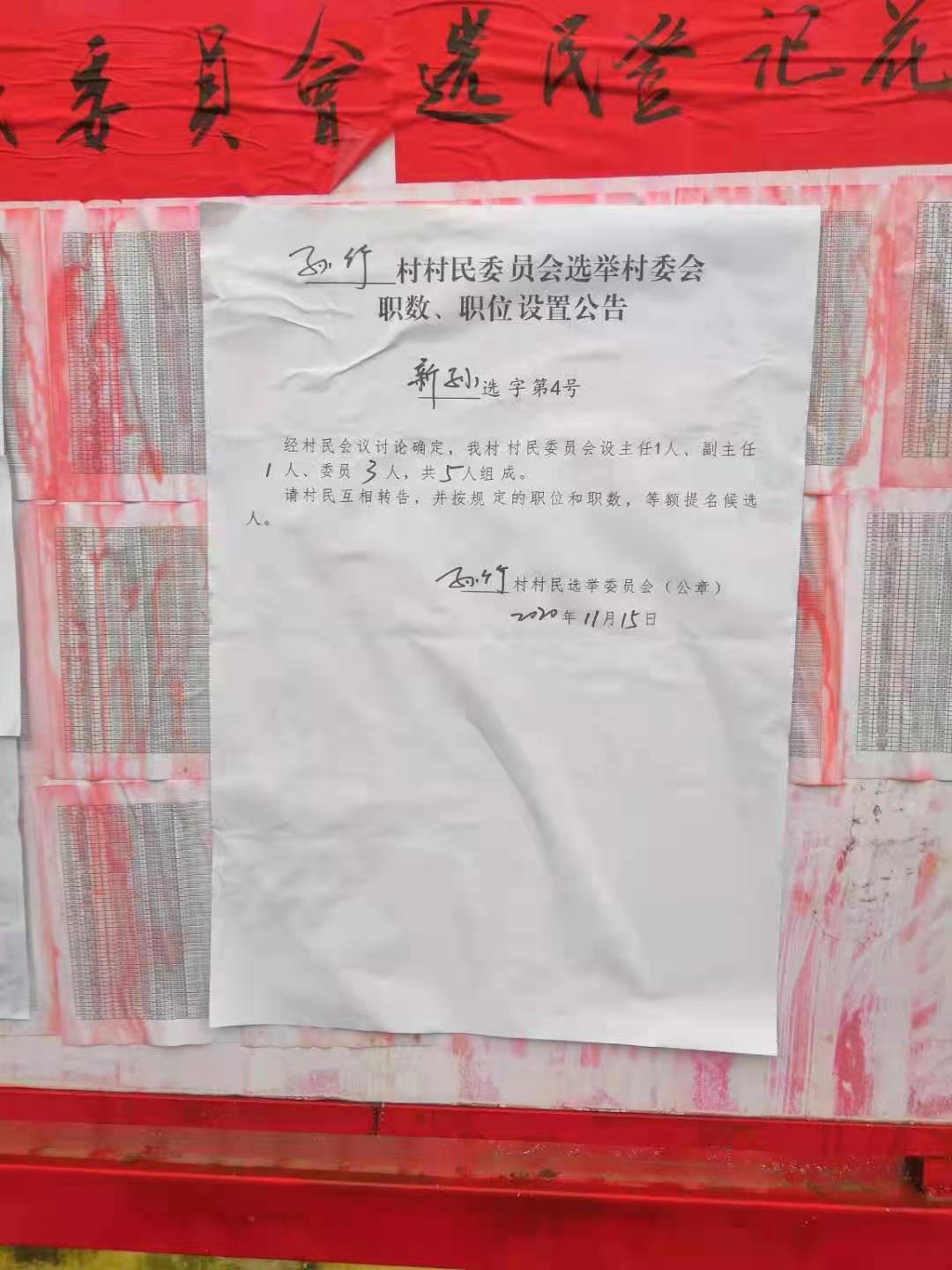 杨岘村委会人事任命揭晓，开启乡村发展新篇章