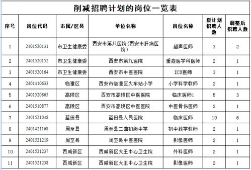 洪雅县级托养福利事业单位发展规划展望