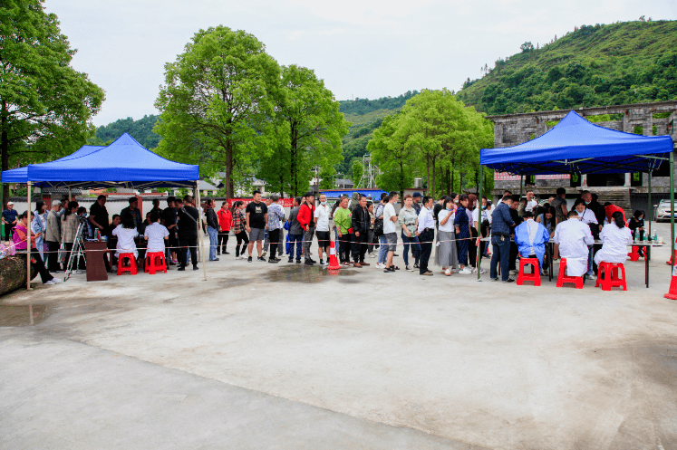 马颈坳镇交通新闻更新，新动态与进展