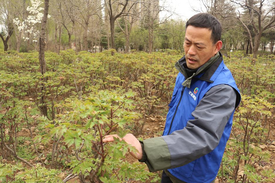 菏泽市气象局招聘启事