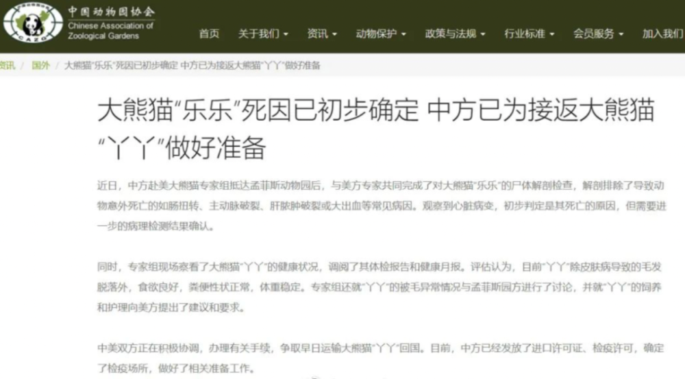 丫丫最新动态，勇敢探索未知世界的使者