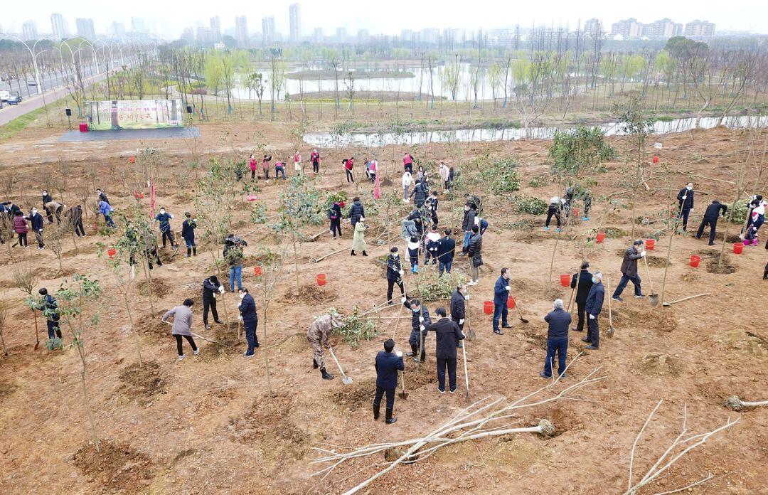 池州市国土资源局最新发展规划概览