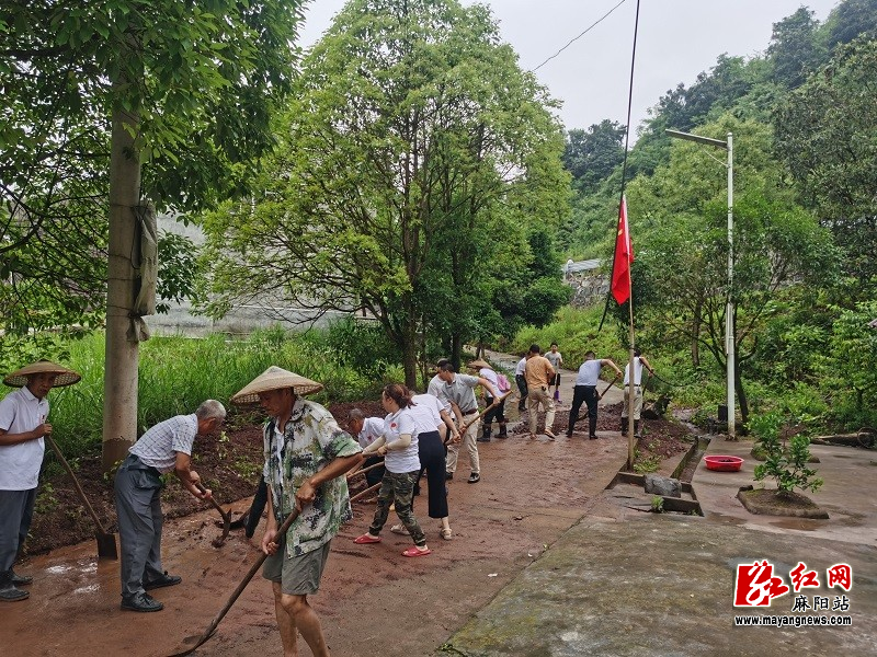 谭家寨乡新项目，引领乡村发展新篇章