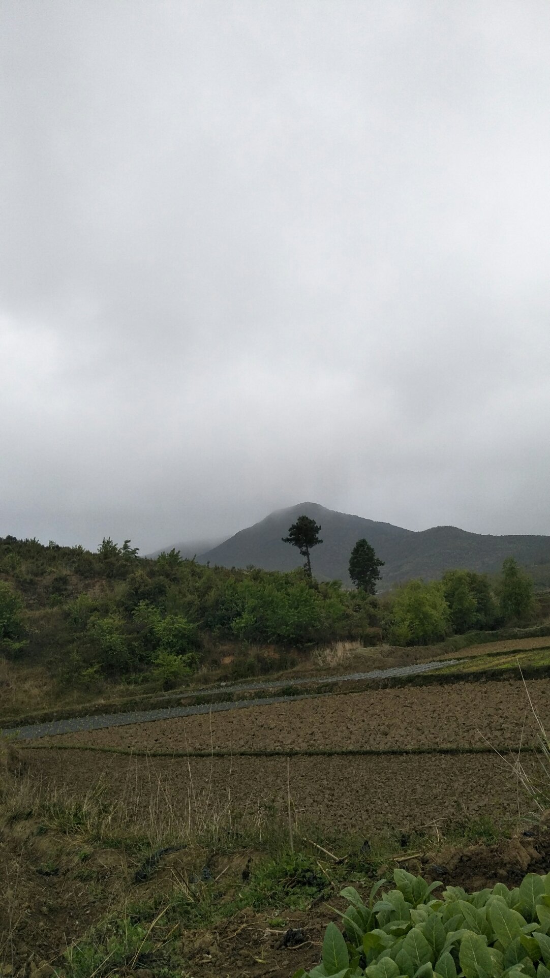 建明镇天气预报更新通知