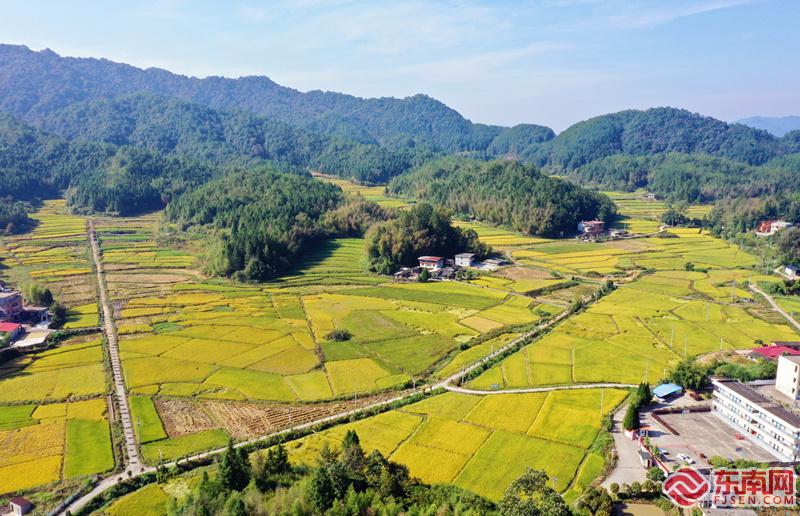 明溪县农业农村局最新发展规划概览