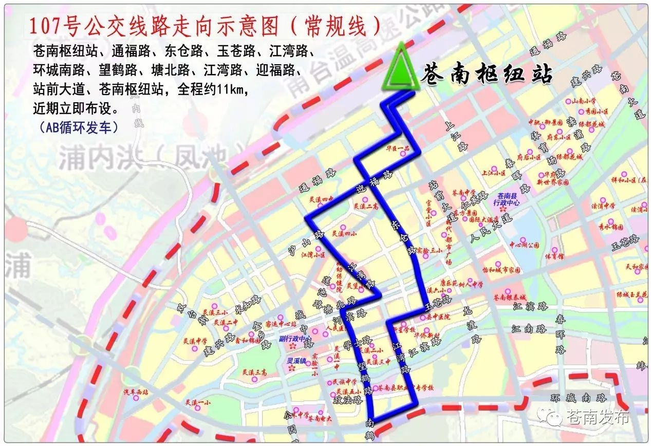 苍南县审计局发展规划，构建现代化审计体系，助力县域经济高质量发展